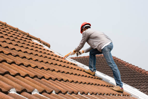 Best Tile Roofing Installation  in Deville, AL